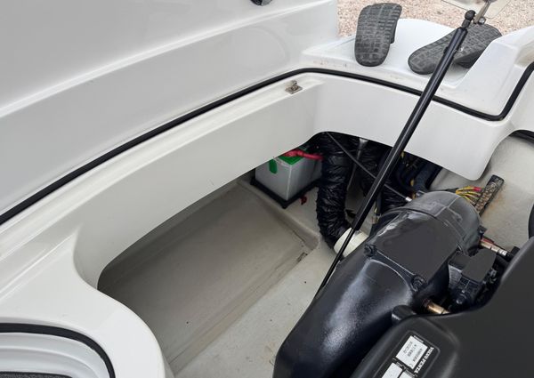 Cobalt 242-WSS image