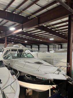 Chaparral 330 Signature image