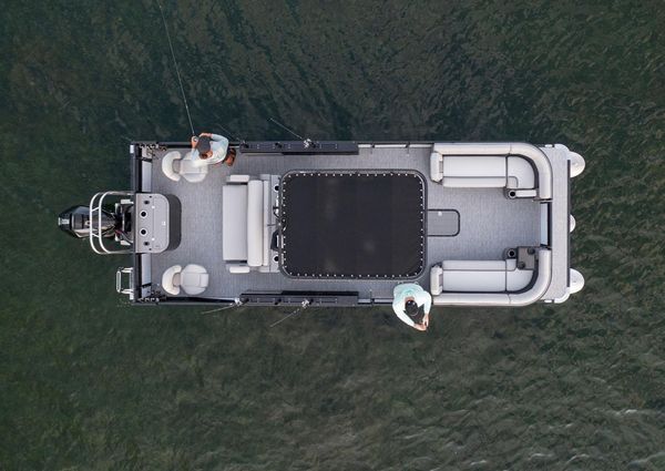 Qwest PRO-SPORT-M-CLASS image