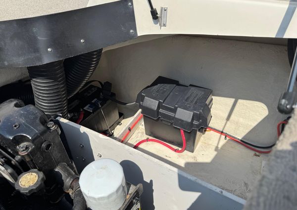 Sea-ray 195-SPORT image