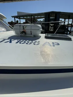 Bertram 385 Convertible image