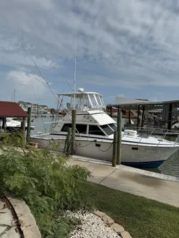 Bertram 385 Convertible image