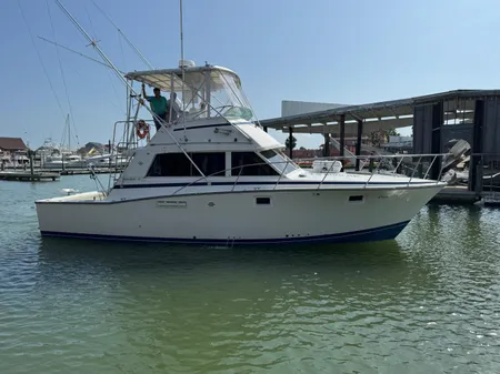 Bertram 385 Convertible image