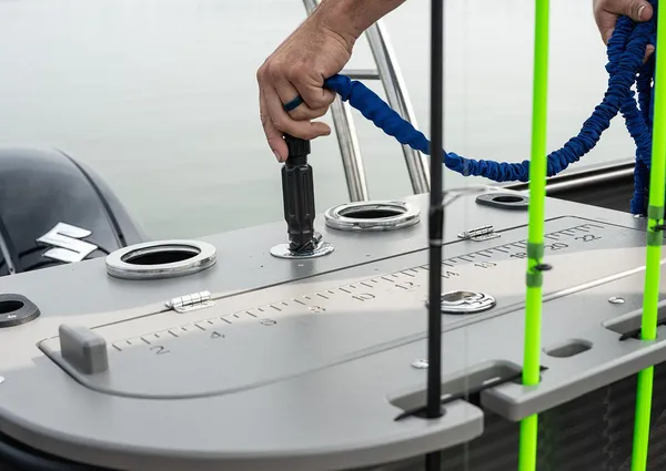 Qwest PRO-FAMILY-FISH-L-CLASS image