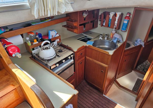 Seastream 34 image