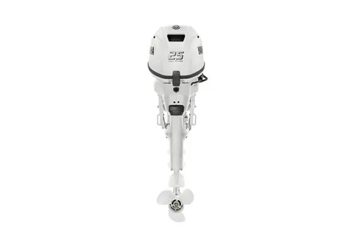 Yamaha Outboards F25 High Thrust image