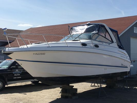 Chaparral Signature 300 - main image