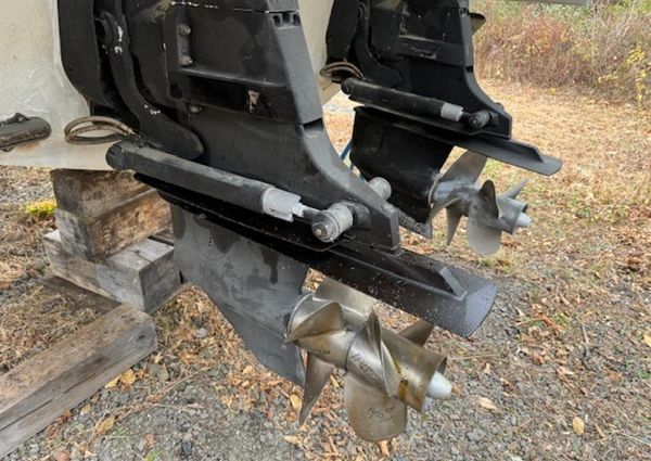 Formula 350-SUN-SPORT image