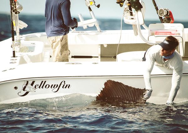 Yellowfin 29-OFFSHORE image