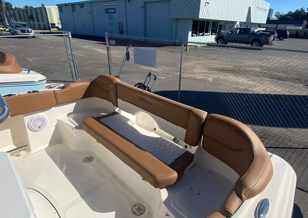 Pioneer 202 Islander image