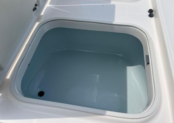 Robalo 246-CAYMAN image