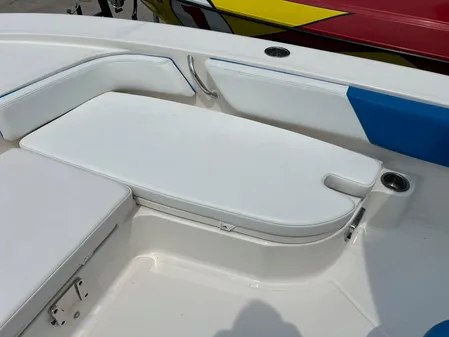 Robalo 246-CAYMAN image