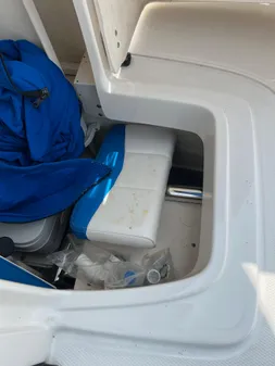 Robalo 246-CAYMAN image