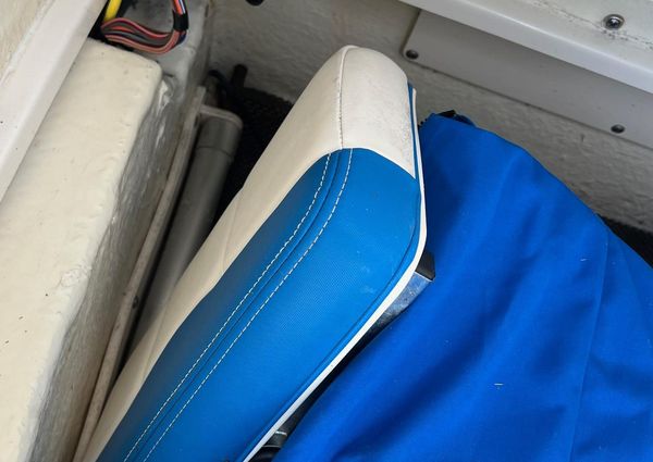 Robalo 246-CAYMAN image