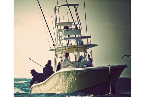 Yellowfin 36 Offshore image