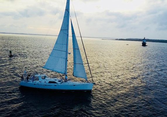 Perry 59 - main image