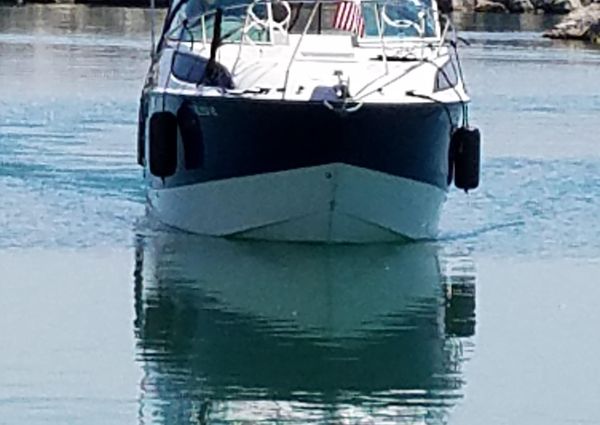 Bayliner 255 image