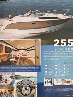Bayliner 255 image