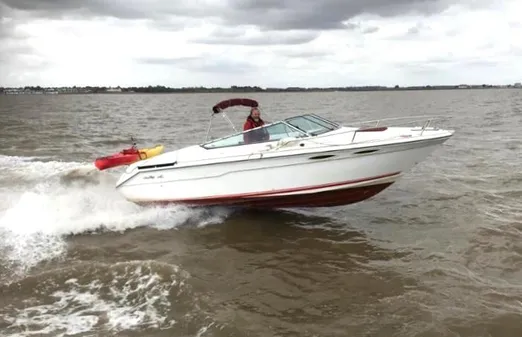 Sea-ray 220-OVERNIGHTER image