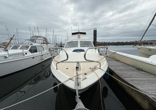 Princess 30 image