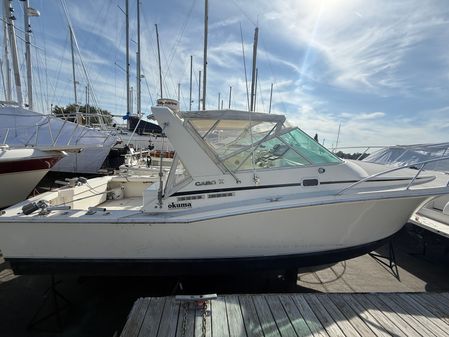 Cabo 31-EXPRESS image