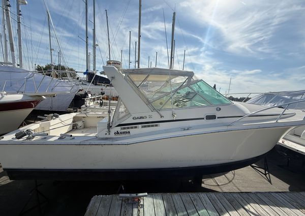 Cabo 31-EXPRESS image