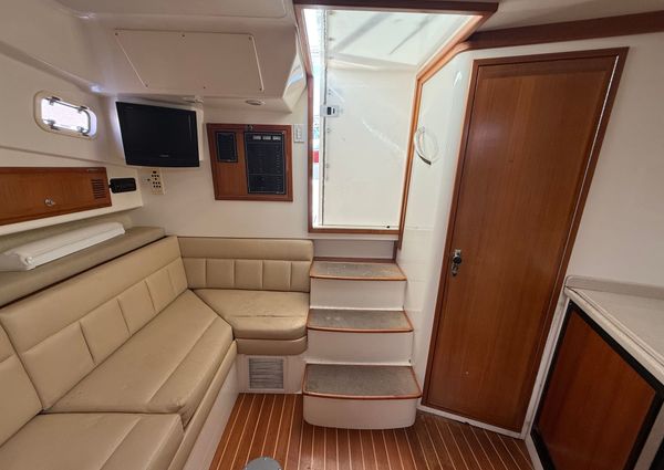 Cabo 31-EXPRESS image