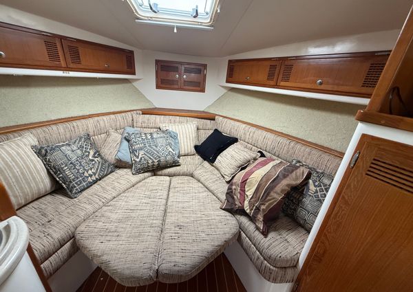 Cabo 31-EXPRESS image