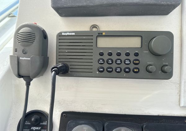 Cabo 31-EXPRESS image