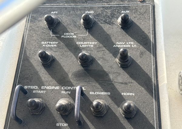 Cabo 31-EXPRESS image