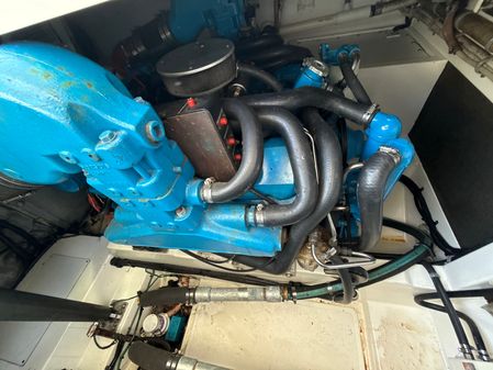 Cabo 31-EXPRESS image