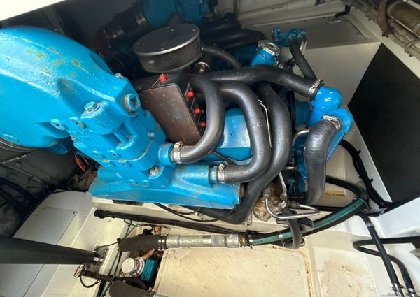 Cabo 31-EXPRESS image