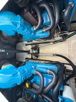 Cabo 31-EXPRESS image