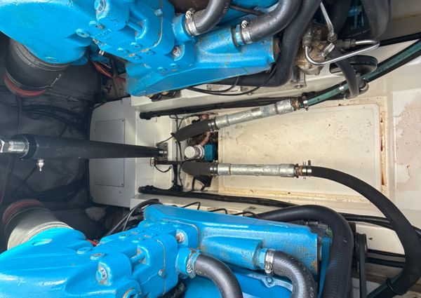 Cabo 31-EXPRESS image