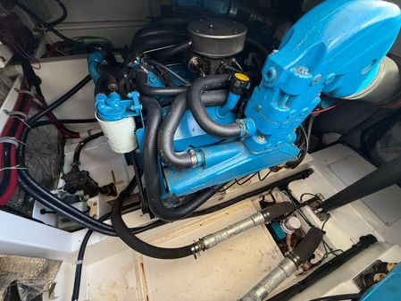 Cabo 31-EXPRESS image