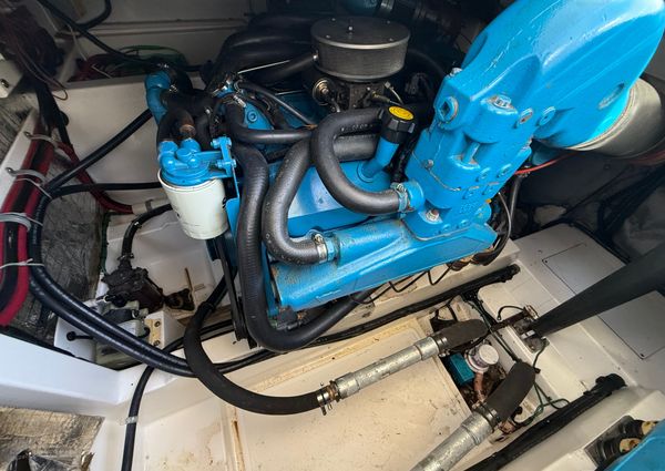 Cabo 31-EXPRESS image