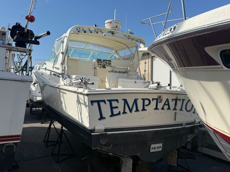 Cabo 31-EXPRESS image