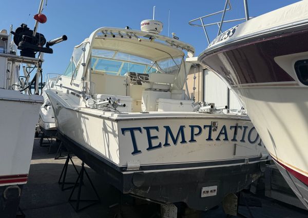 Cabo 31-EXPRESS image