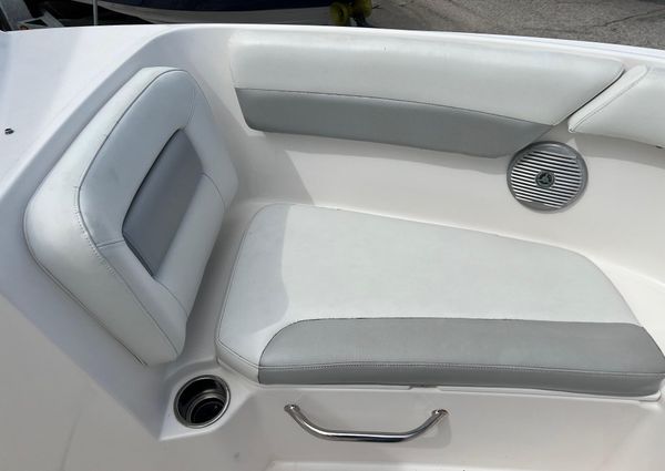 Everglades 230-DUAL-CONSOLE image
