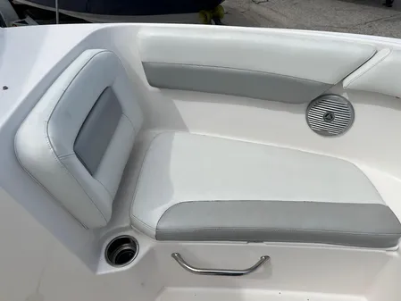 Everglades 230-DUAL-CONSOLE image