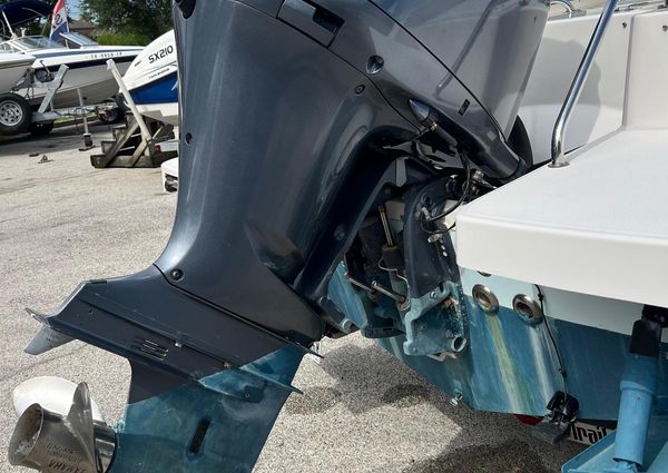 Everglades 230-DUAL-CONSOLE image