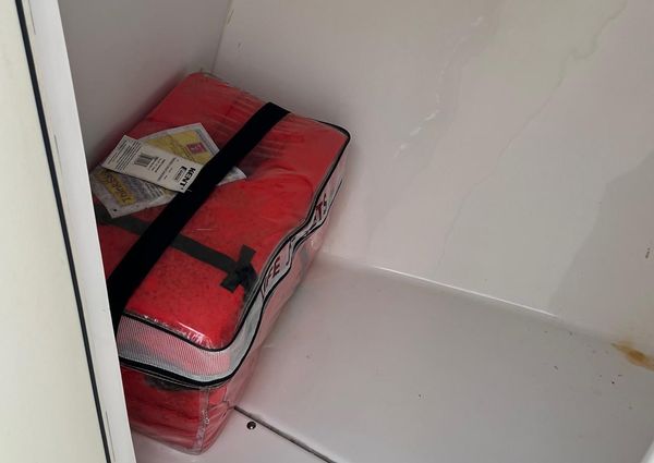 Everglades 230-DUAL-CONSOLE image