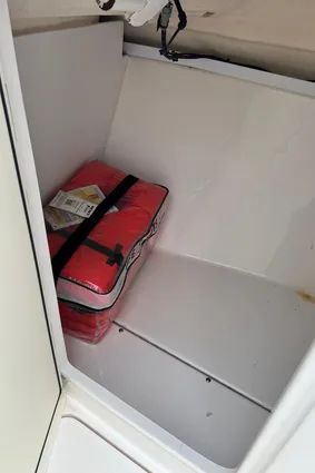 Everglades 230-DUAL-CONSOLE image