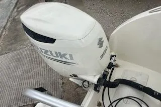 World-cat 290-DC image