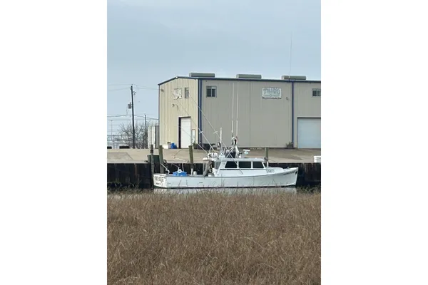 Mussel Ridge 46 image