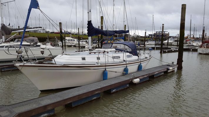 Westerly Konsort - main image