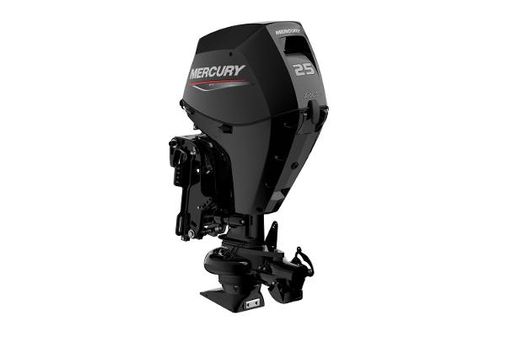 Mercury Fourstroke 25 hp Jet image
