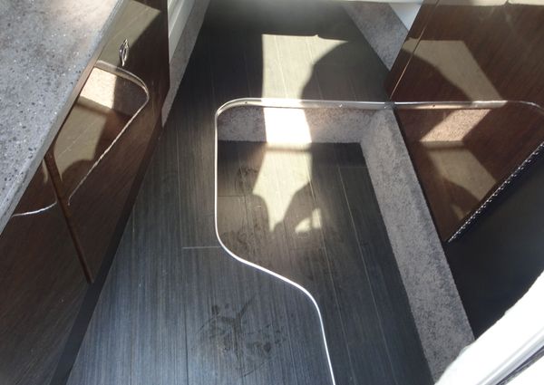 Formula 290-SUN-SPORT image