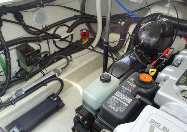 Formula 290-SUN-SPORT image