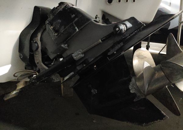 Formula 290-SUN-SPORT image